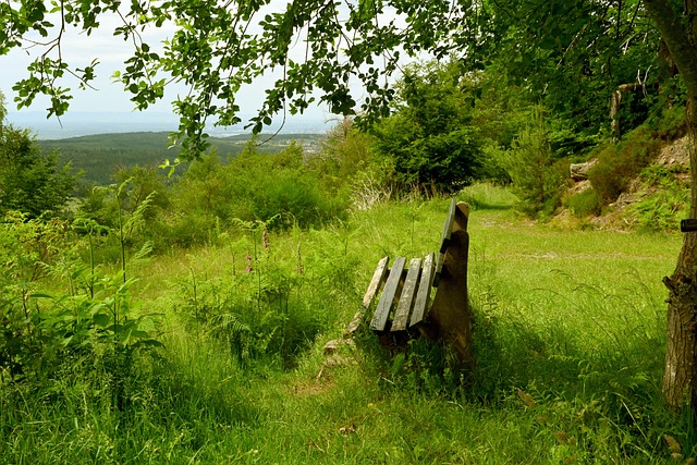 这种变化 这种变化