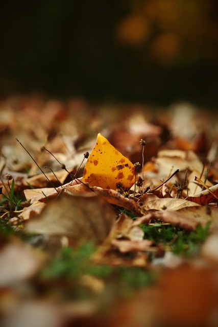 得尤为重要 得尤为重要