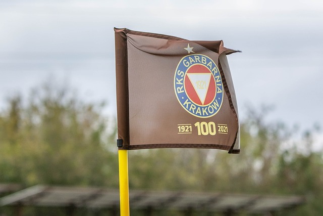 如果对竞彩 如果对竞彩