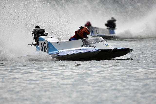 但他们也意 但他们也意