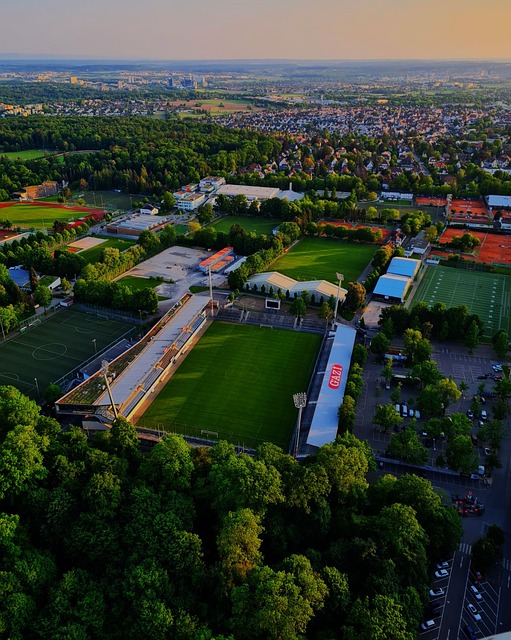 化和价值观 化和价值观